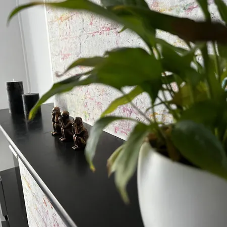 Le Coconning - 2 Pers - Valenciennes *